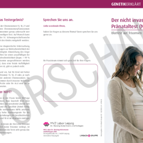 Patientenflyer: Der nicht invasive Pränataltest