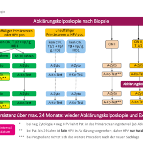 Empfehlung Zervixkarzinomfrüherkennung 