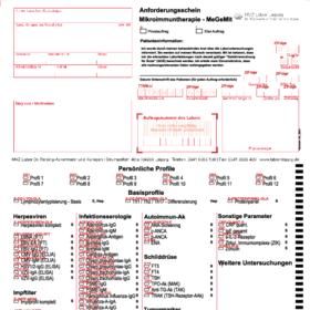 Anforderungsschein MeGeMit (LAS-42)